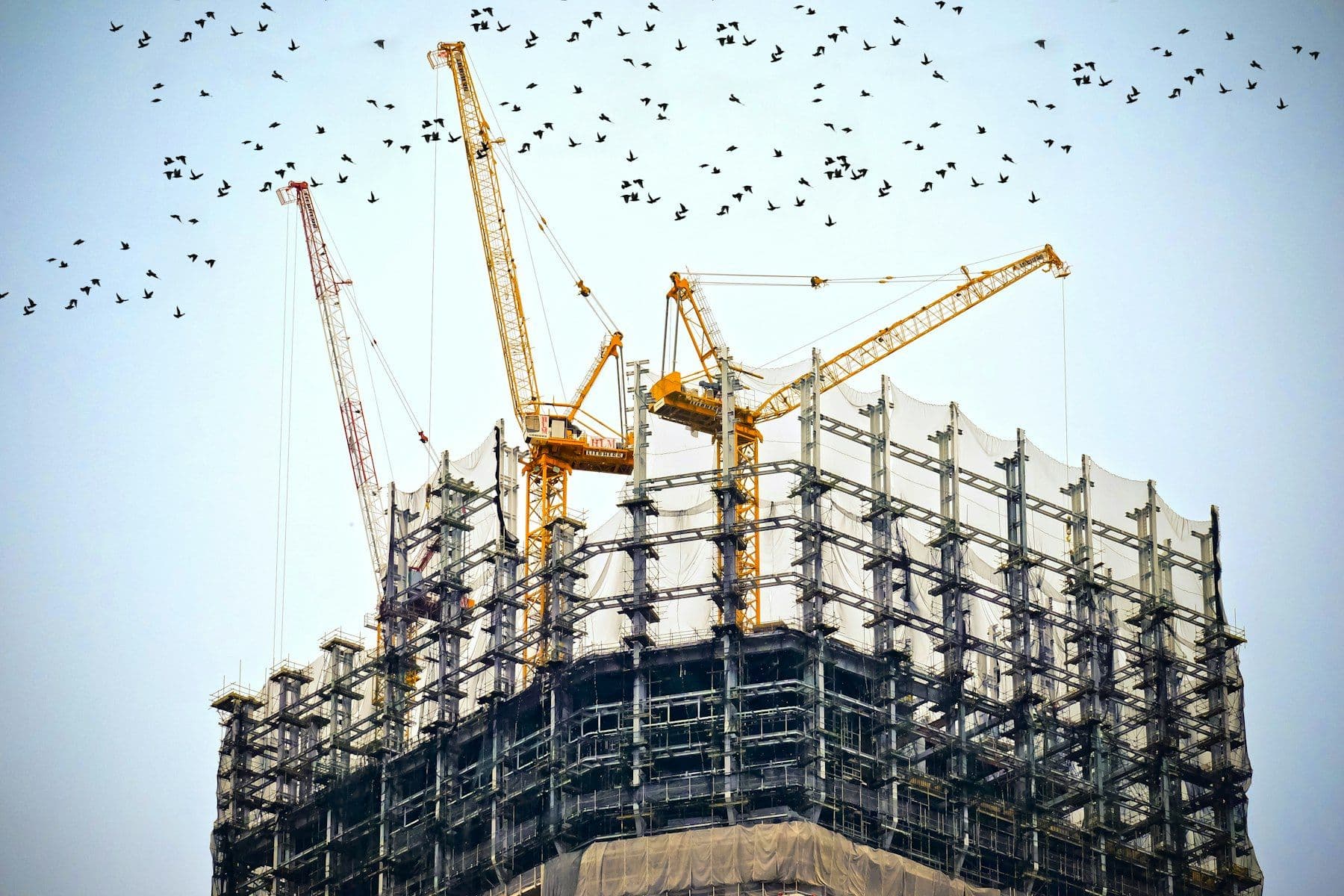 Tower cranes over a construction site
